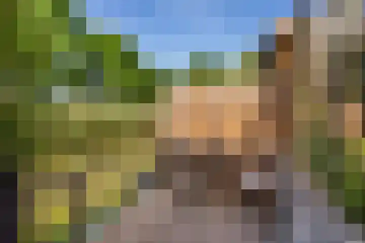 Reigerskamp 270 Maarssen thumbnail 41