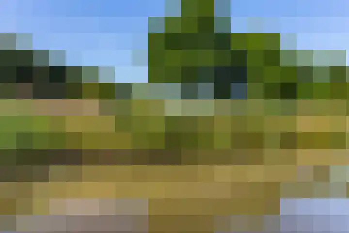 Reigerskamp 270 Maarssen thumbnail 42