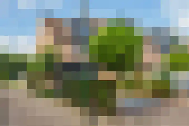 Reigerskamp 270 Maarssen thumbnail 46