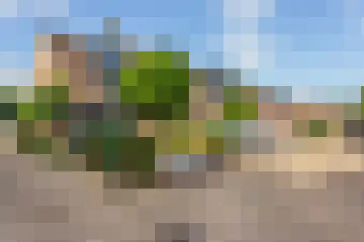 Reigerskamp 270 Maarssen thumbnail 47