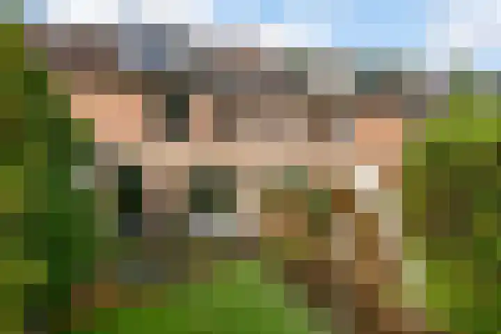 Reigerskamp 279 Maarssen thumbnail 22