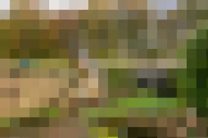 Reigerskamp 279 Maarssen thumbnail 23
