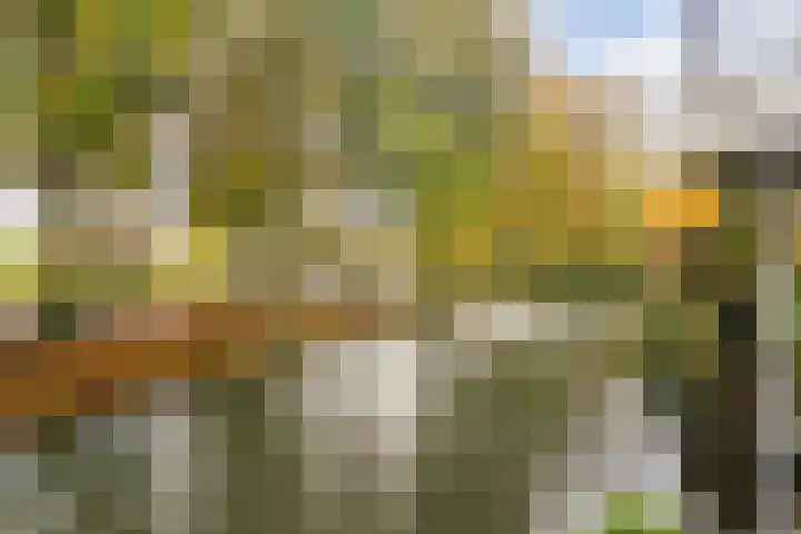 Reigerskamp 279 Maarssen thumbnail 26