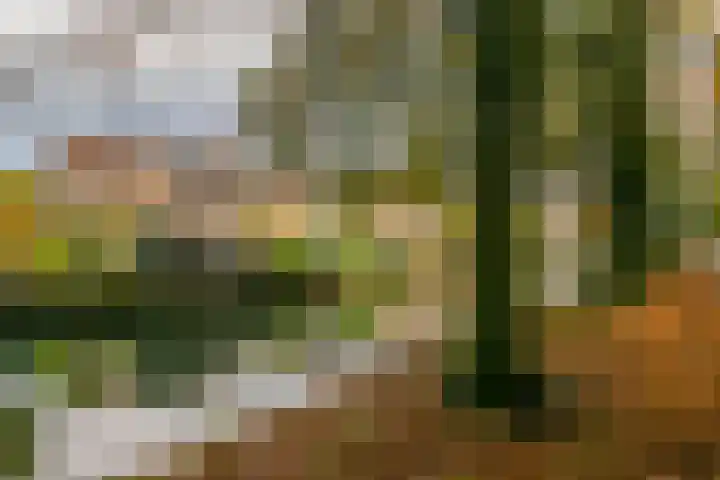 Reigerskamp 279 Maarssen thumbnail 27