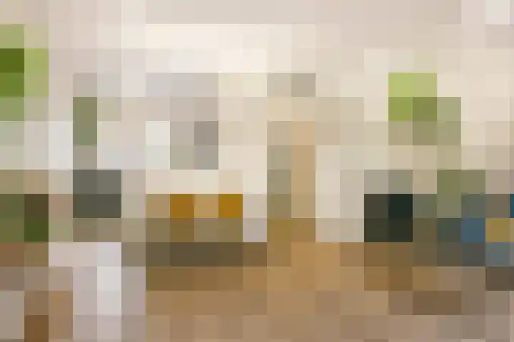Reigerskamp 279 Maarssen thumbnail 8