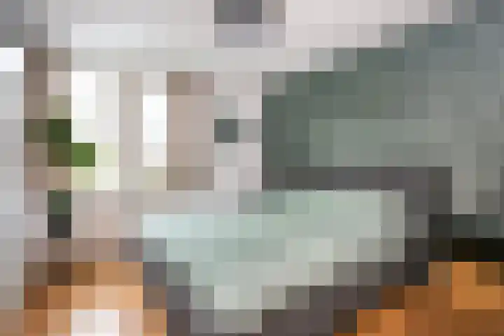 Reigerskamp 310 Maarssen thumbnail 12
