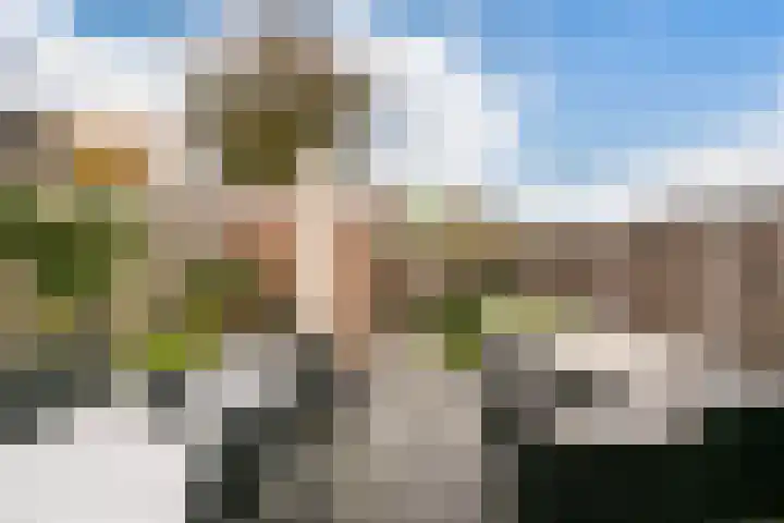Reigerskamp 310 Maarssen thumbnail 27