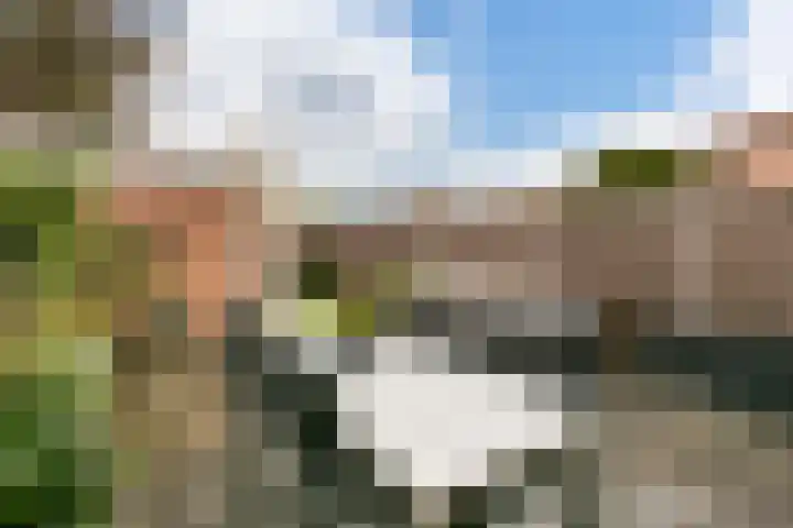 Reigerskamp 310 Maarssen thumbnail 28