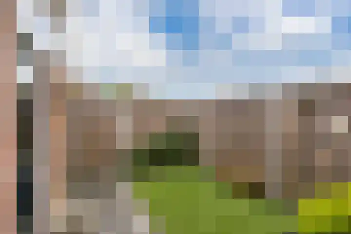 Reigerskamp 310 Maarssen thumbnail 30