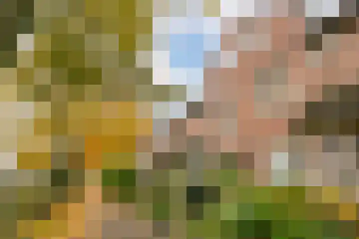 Reigerskamp 310 Maarssen thumbnail 33