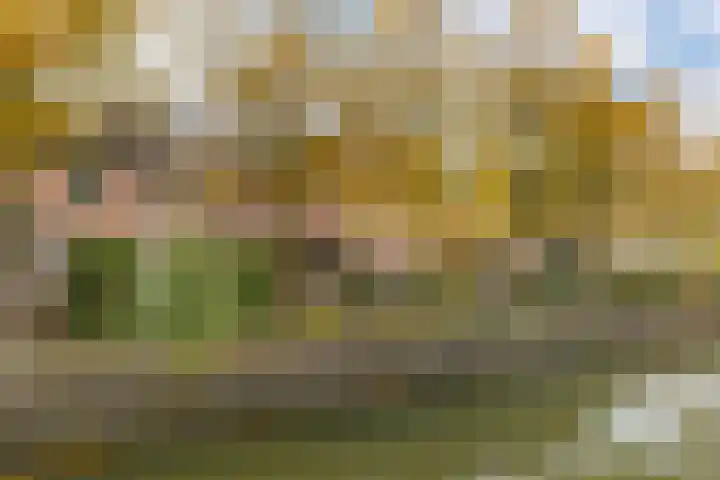 Reigerskamp 310 Maarssen thumbnail 34