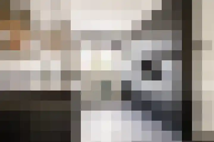 Reigerskamp 337 Maarssen thumbnail 13