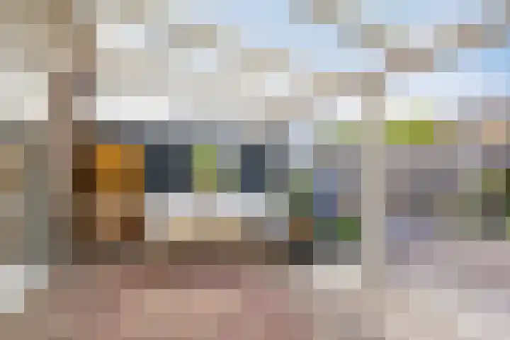 Reigerskamp 337 Maarssen thumbnail 17
