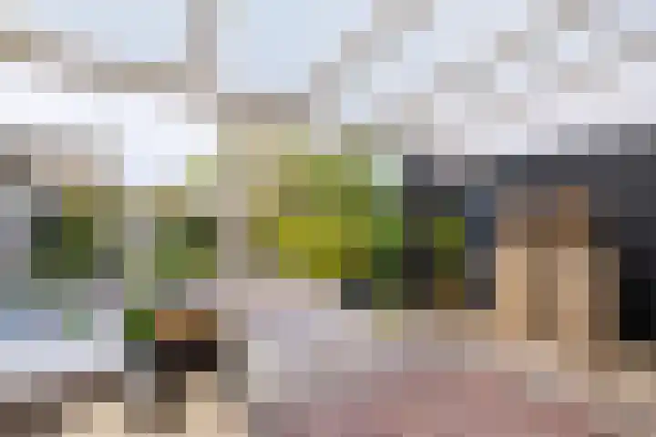 Reigerskamp 337 Maarssen thumbnail 18