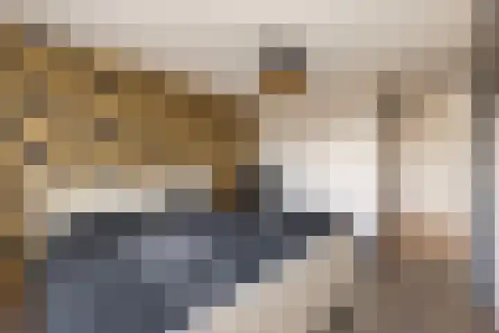 Reigerskamp 337 Maarssen thumbnail 23