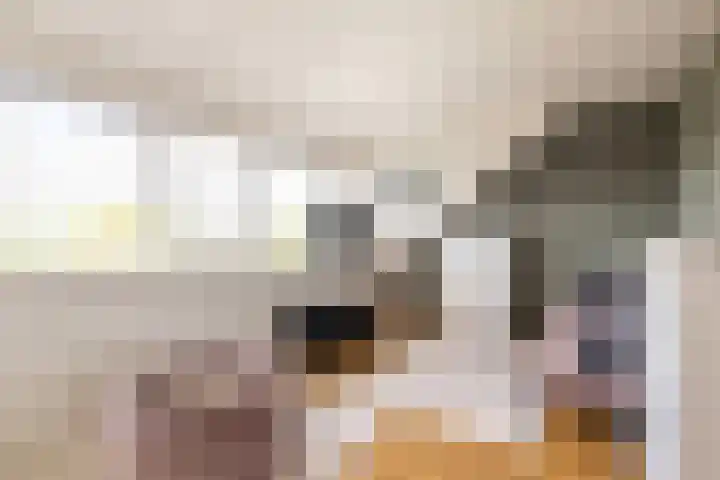 Reigerskamp 337 Maarssen thumbnail 31