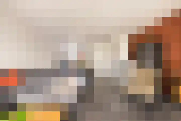 Reigerskamp 337 Maarssen thumbnail 6