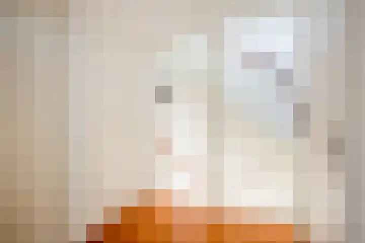 Reigerskamp 352 Maarssen thumbnail 10