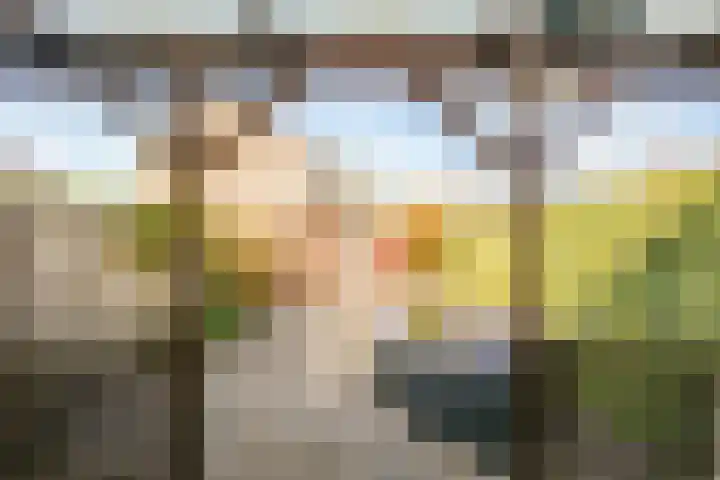 Reigerskamp 352 Maarssen thumbnail 23