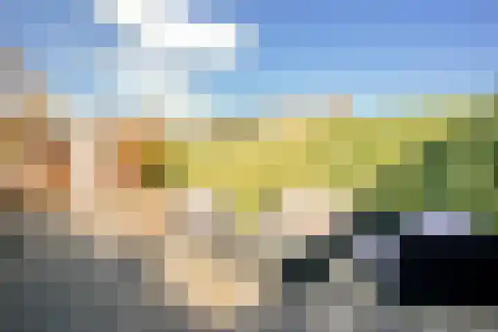 Reigerskamp 352 Maarssen thumbnail 24