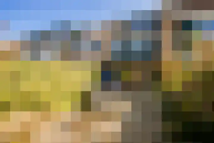 Reigerskamp 352 Maarssen thumbnail 25