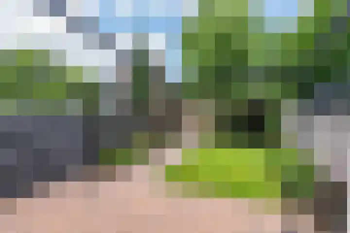 Reigerskamp 36 Maarssen thumbnail 27