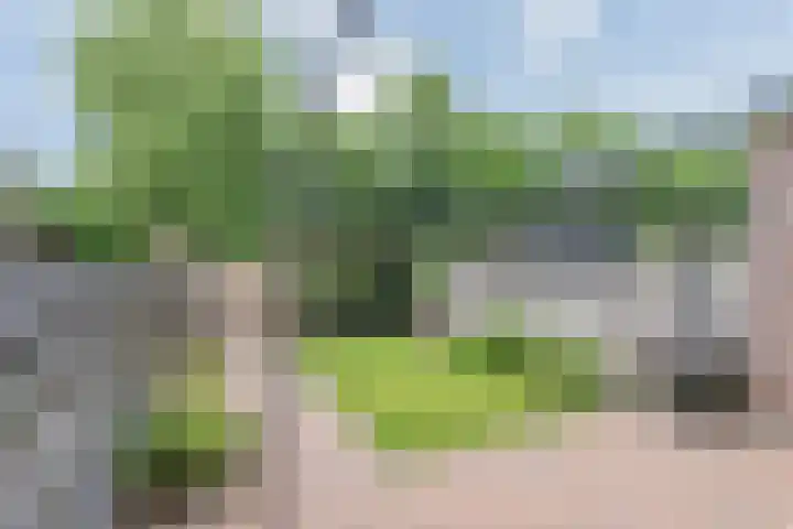 Reigerskamp 36 Maarssen thumbnail 28