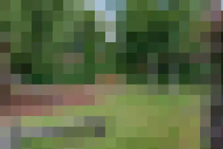 Reigerskamp 36 Maarssen thumbnail 29