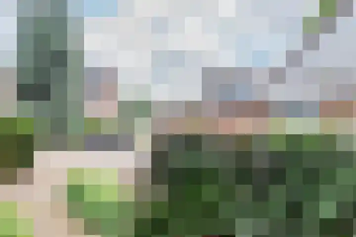 Reigerskamp 36 Maarssen thumbnail 6