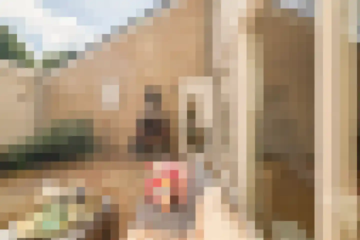 Reigerskamp 372 Maarssen thumbnail 12