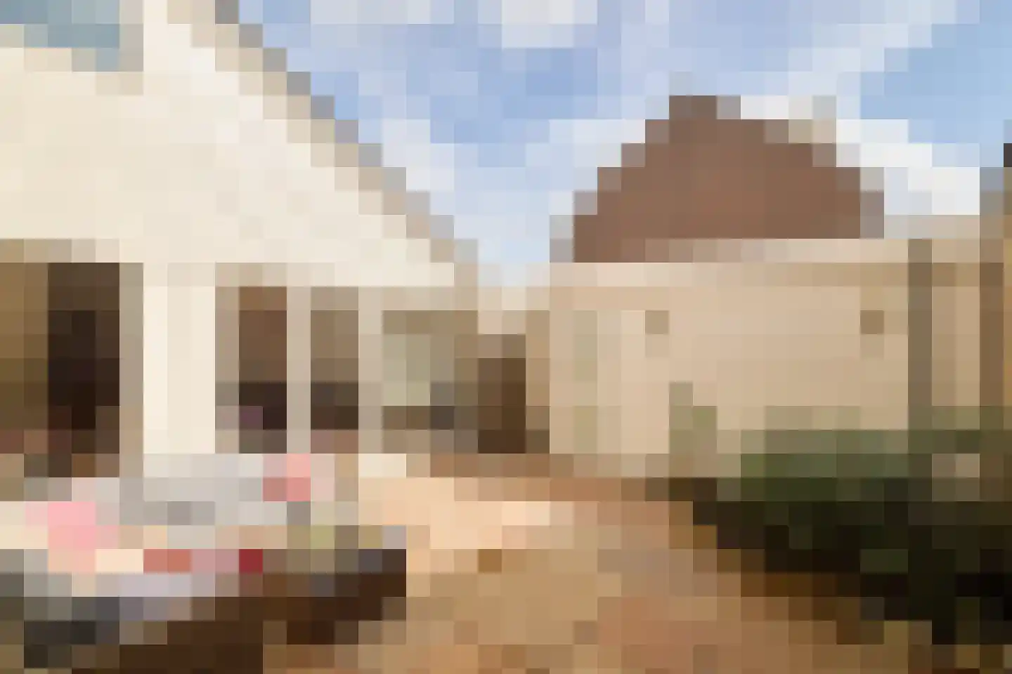 Reigerskamp 372 Maarssen thumbnail 13