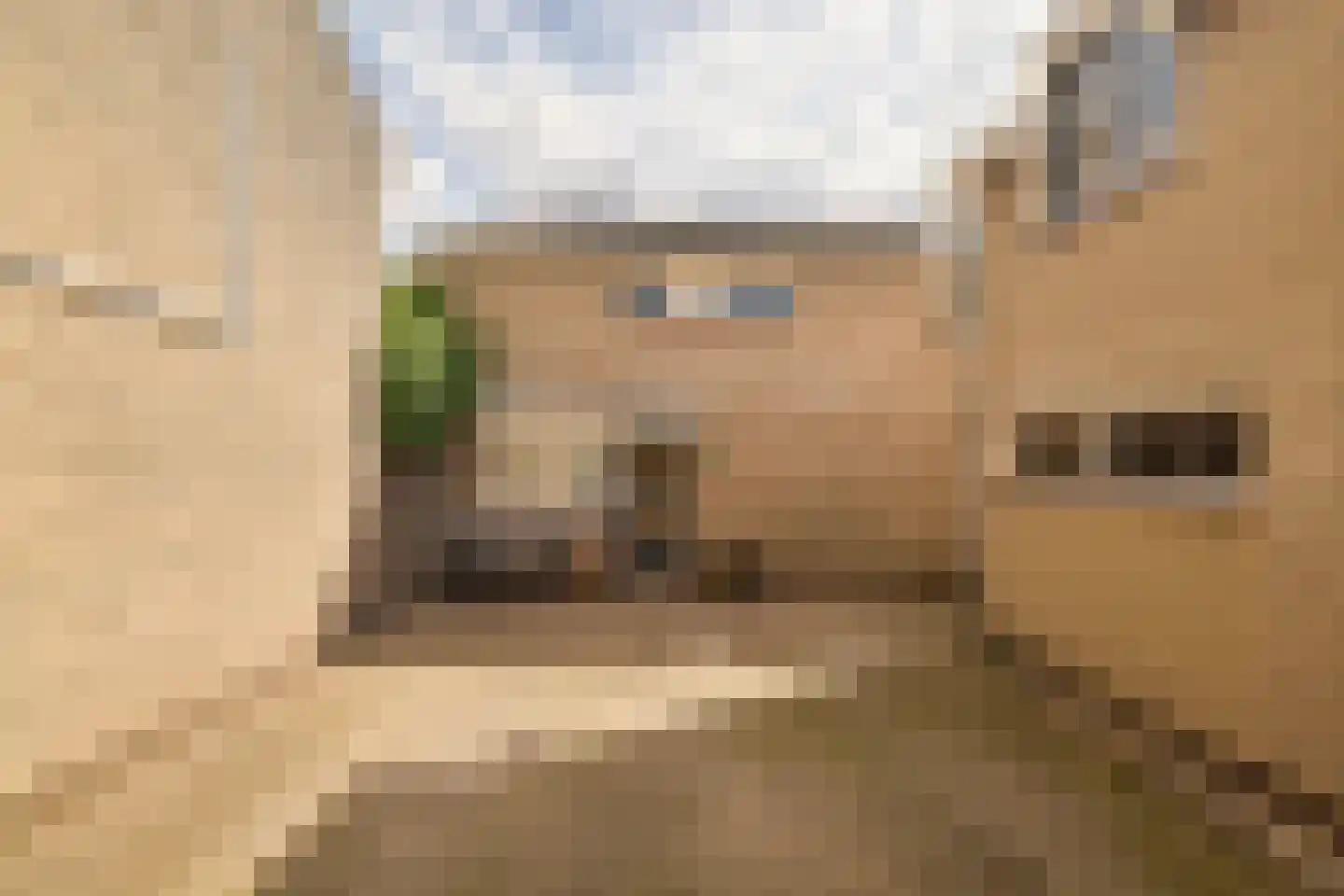 Reigerskamp 372 Maarssen thumbnail 31