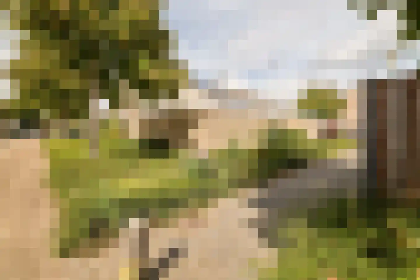 Reigerskamp 372 Maarssen thumbnail 34