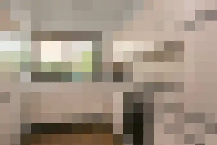 Reigerskamp 392 Maarssen thumbnail 11