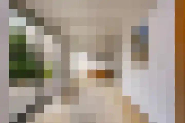 Reigerskamp 392 Maarssen thumbnail 12