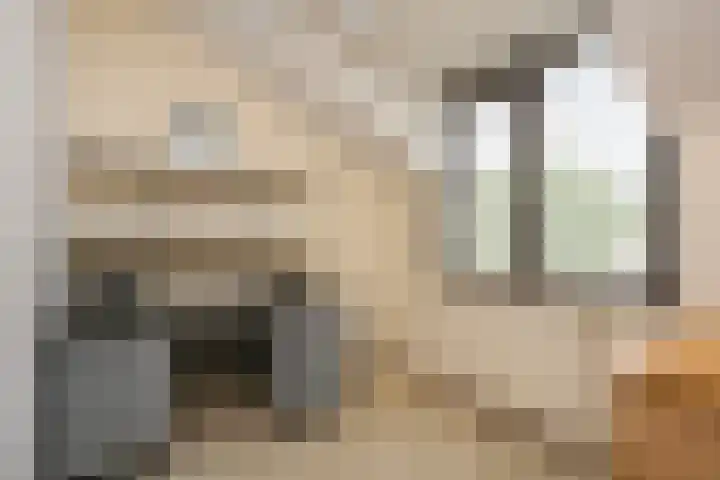 Reigerskamp 392 Maarssen thumbnail 21