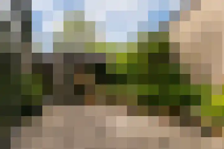Reigerskamp 392 Maarssen thumbnail 28