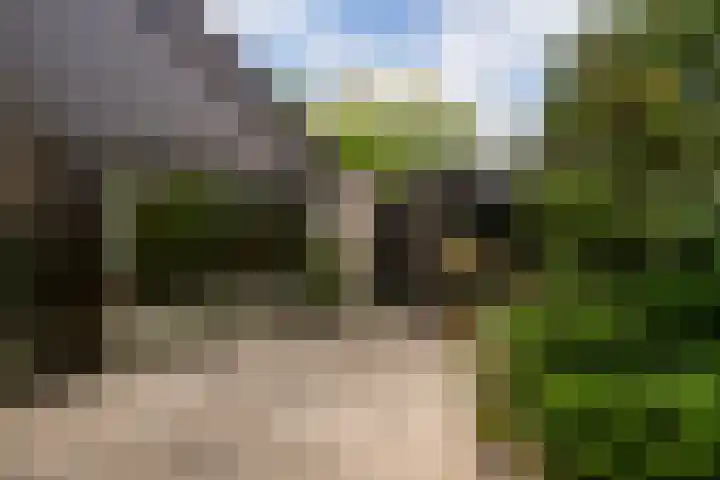 Reigerskamp 392 Maarssen thumbnail 29