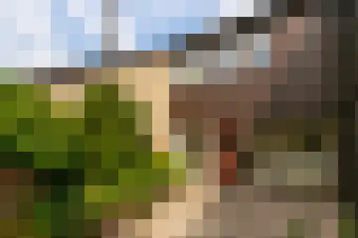 Reigerskamp 392 Maarssen thumbnail 30