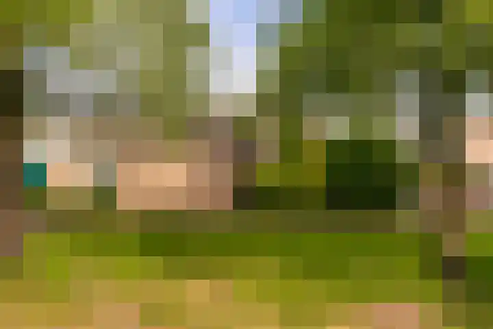 Reigerskamp 392 Maarssen thumbnail 32
