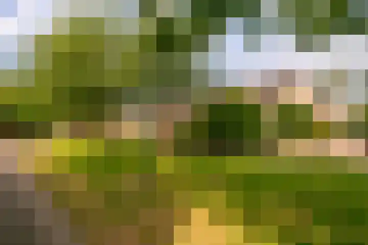 Reigerskamp 392 Maarssen thumbnail 33