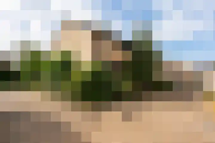 Reigerskamp 392 Maarssen thumbnail 34