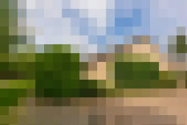Reigerskamp 392 Maarssen thumbnail 35