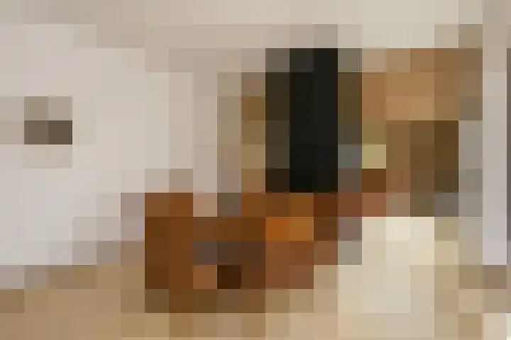 Reigerskamp 392 Maarssen thumbnail 5