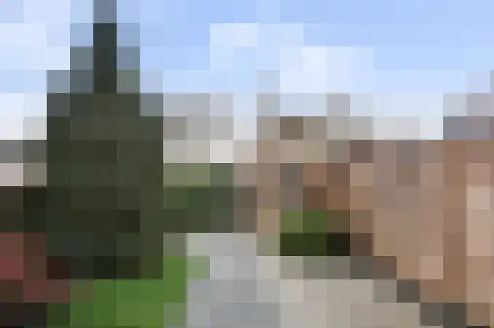 Reigerskamp 447 Maarssen thumbnail 23