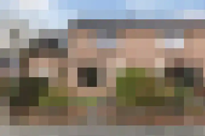 Reigerskamp 447 Maarssen thumbnail 29
