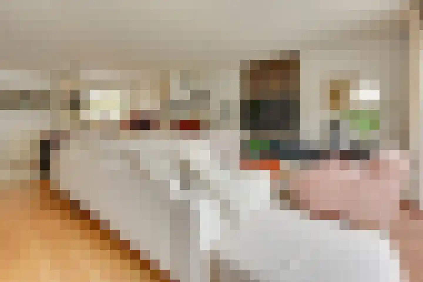 Reigerskamp 465 Maarssen thumbnail 23