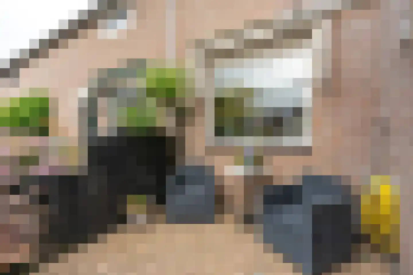 Reigerskamp 465 Maarssen thumbnail 4