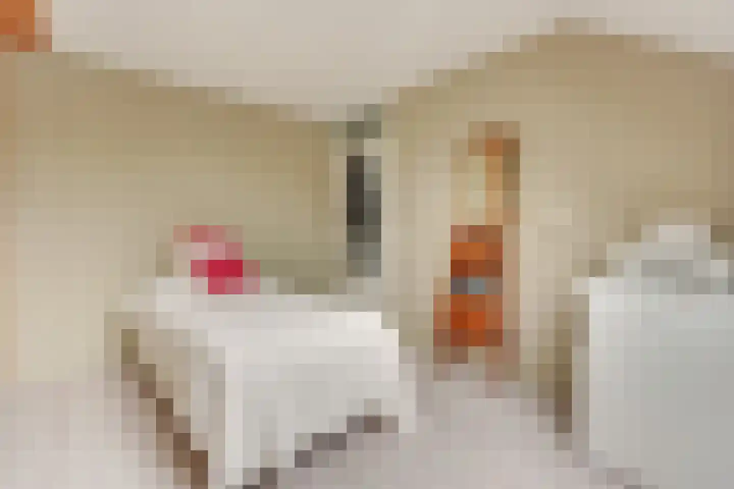 Reigerskamp 465 Maarssen thumbnail 46