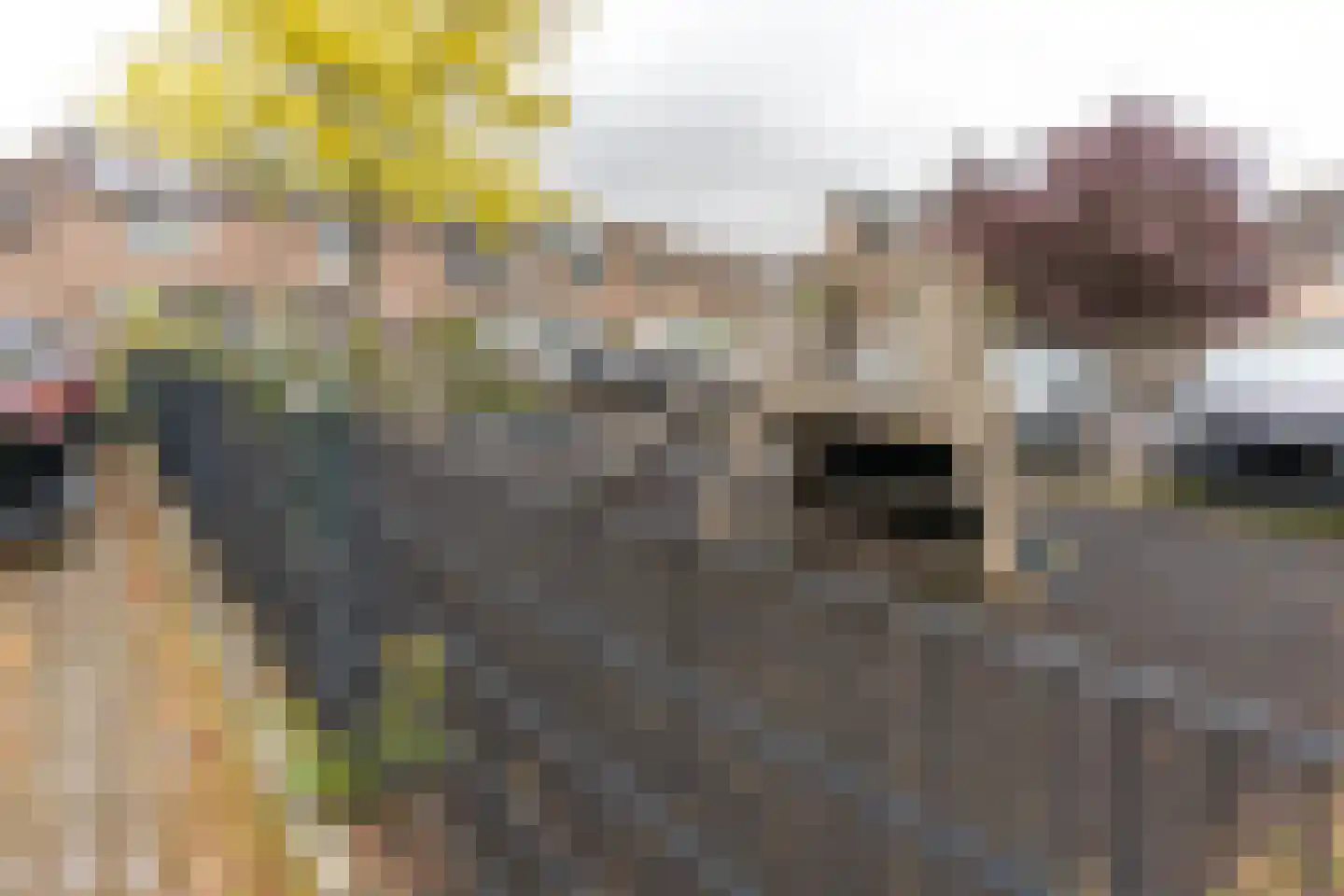 Reigerskamp 465 Maarssen thumbnail 56